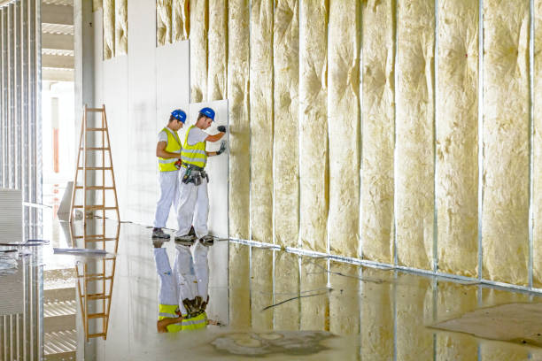 Best Insulation Inspection Services  in Bedford Heights, OH